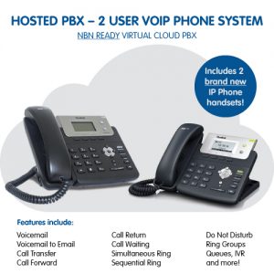 2 User Business VoIP Phone System